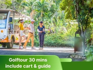 Golf tour 30 mins