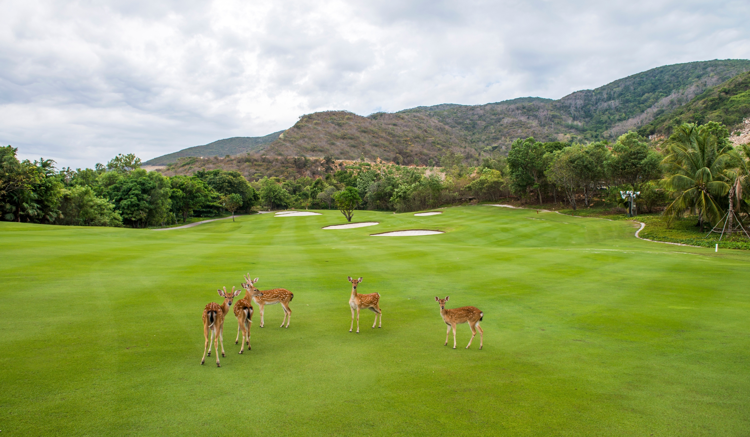 Vinpearl Gofl Nha Trang