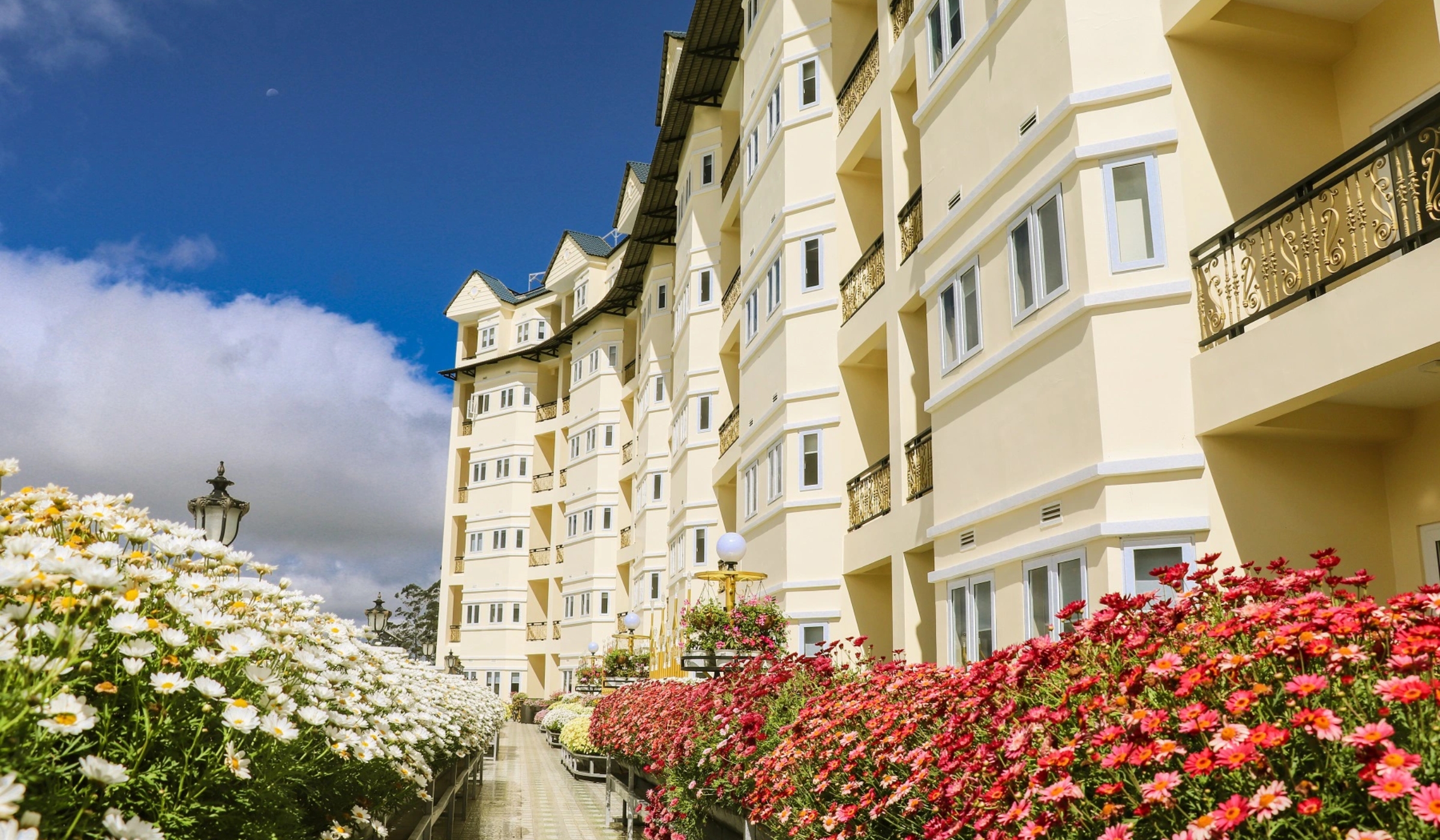 Ladalat Hotel Đà Lạt - Nicegolf
