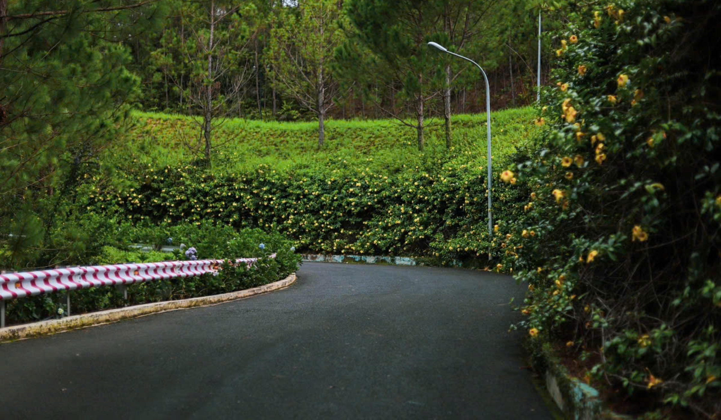 Swiss‑BelResort Tuyền Lâm - Nicegolf