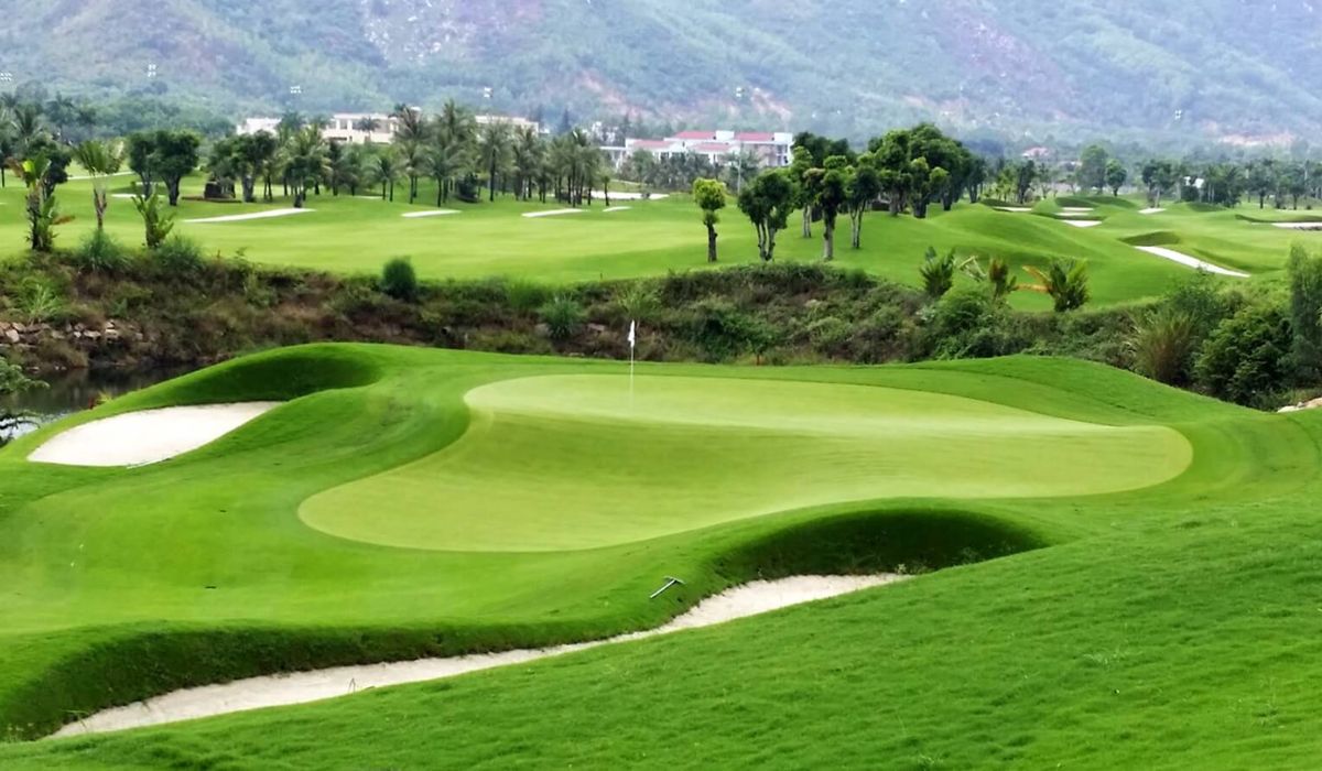Vì Sao Diamond Bay Golf Là Lựa Chọn Hàng Đầu Khi Chơi Golf Tại Nha Trang Năm 2026?