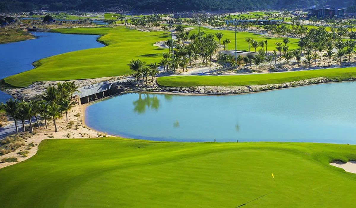 Hành Trình Golf 54 Hố Tại Nha Trang Dành Cho Golfer Hàn Quốc